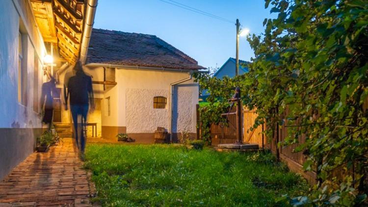 Cejkovicky Domek Cejkovice  Exterior foto